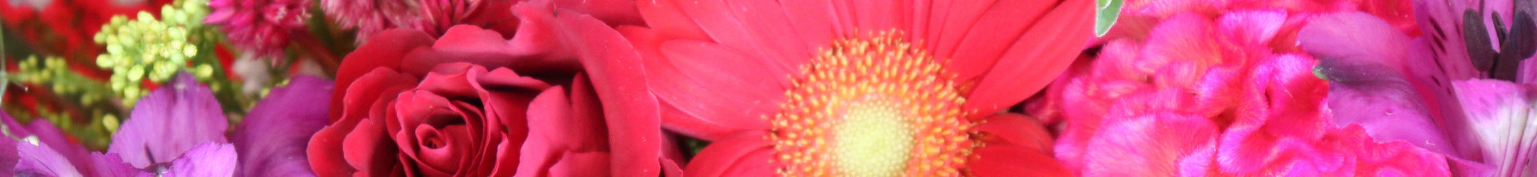 Bright Coloured Flower Arrangement