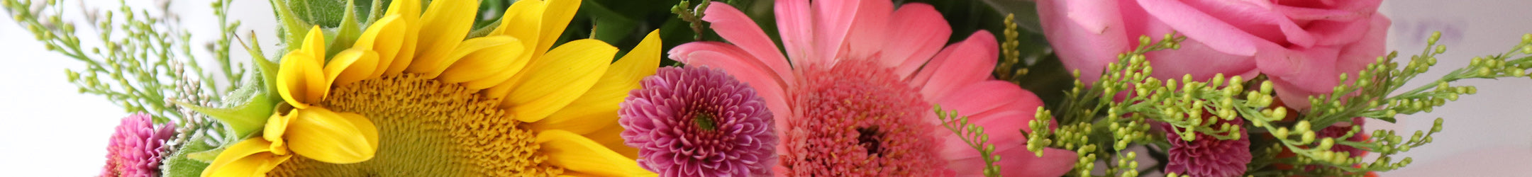 Popular flowers in Australia