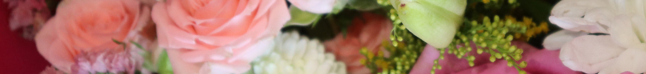 Beautiful pastel coloured flowers