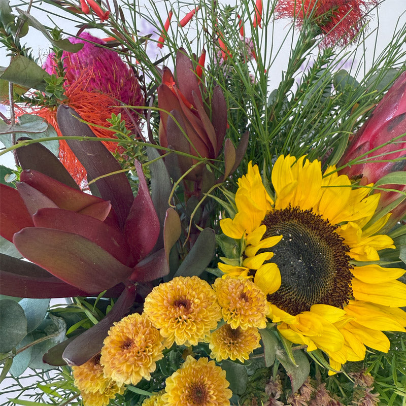 Sunflower and Australian Native flowers