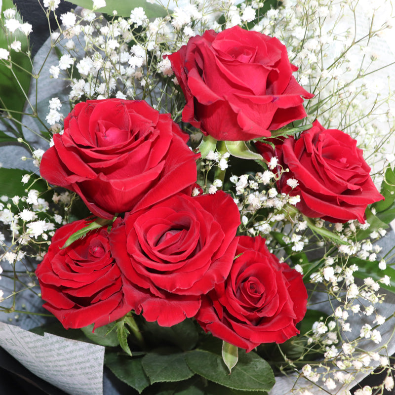 A stunning bouquet containing six beautiful red roses, elegantly arranged and ready for gifting.