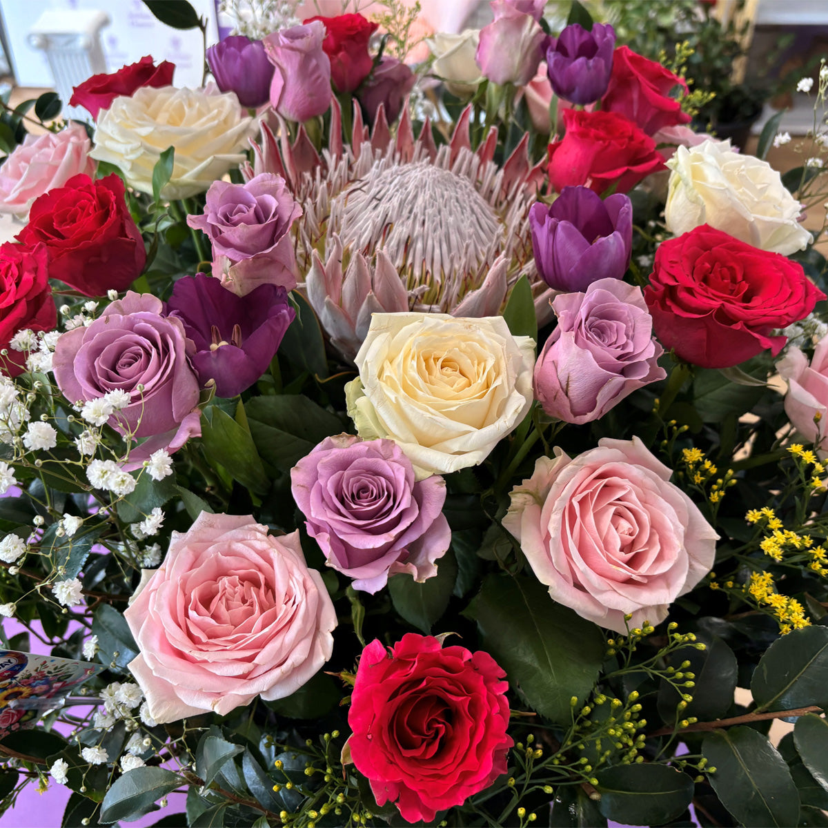 Roses with a native flower