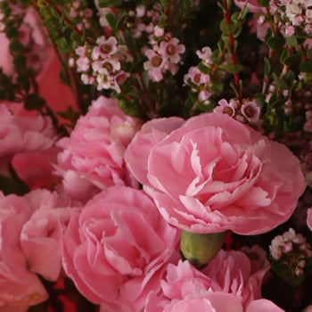 Pink flower arrangement
