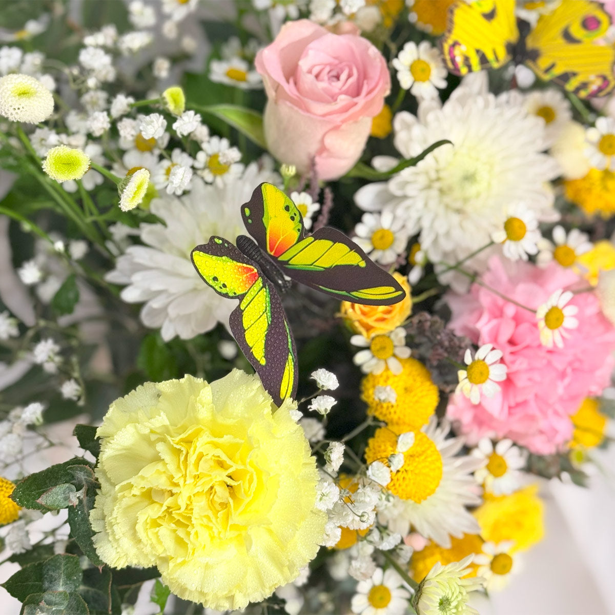 Butterfly and flower arrangement