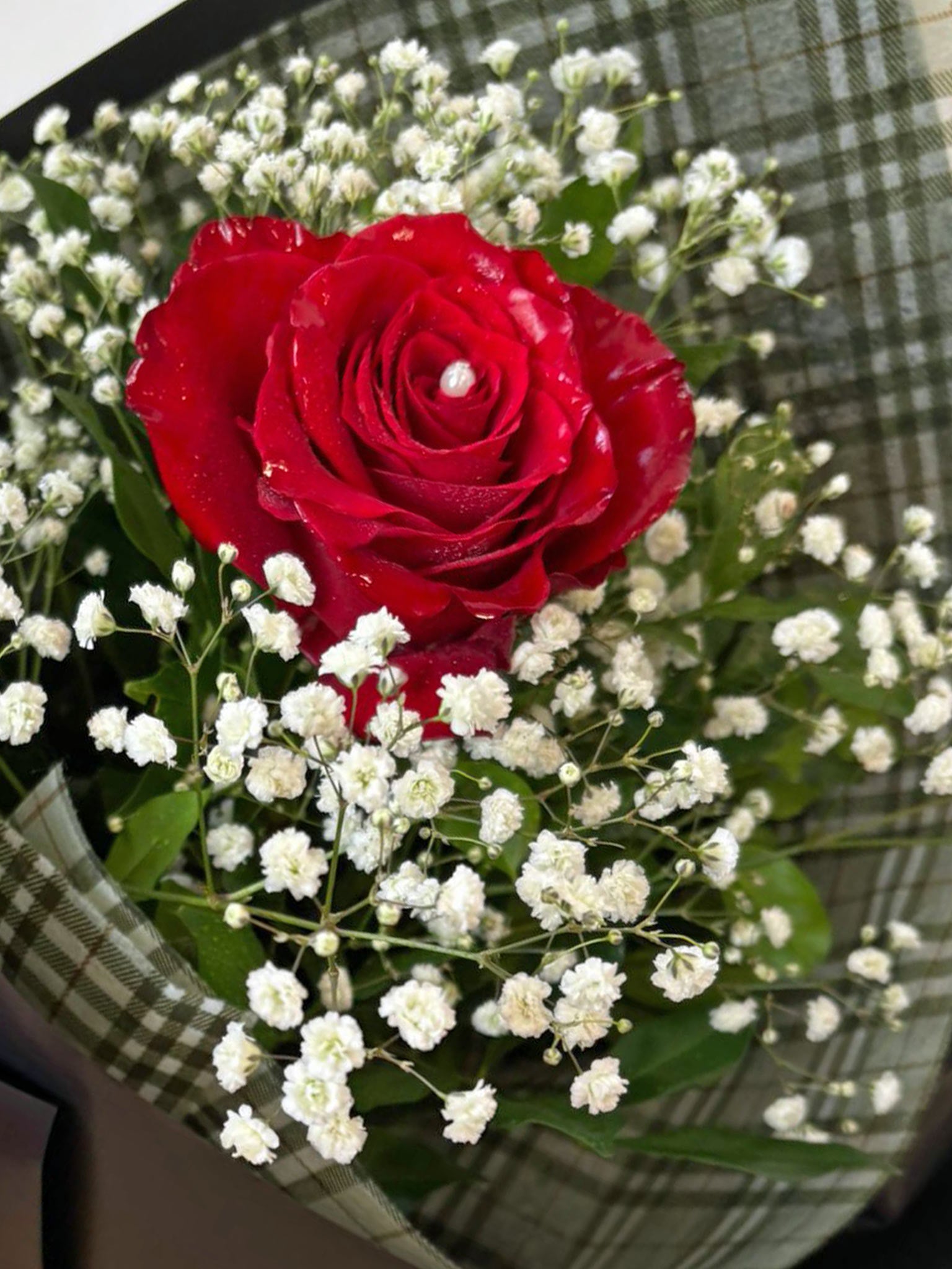 Elegant 60cm Rose Single Wrap